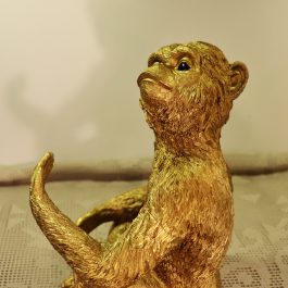 Macaco